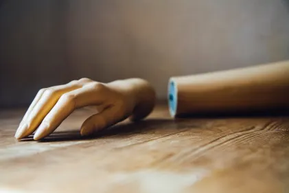 Kasino Wild Fortune Mobilní aplikace